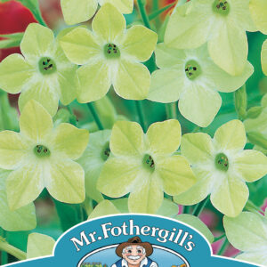 Nicotiana Lime Green