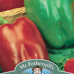 Pepper (Sweet) California Wonder