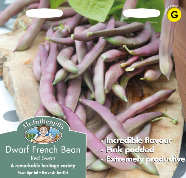 Dwarf French Bean Red Swan