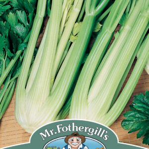 Celery Green Sleeves