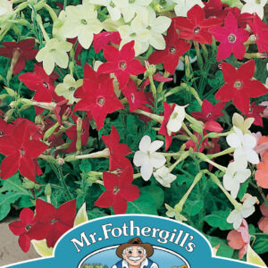 Nicotiana Roulette Mixed F2