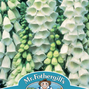 Foxglove Alba