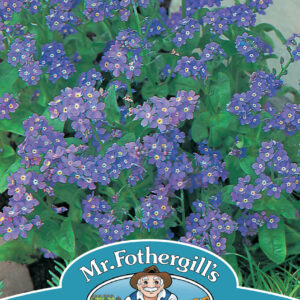 Forget Me Not Indigo