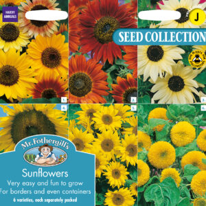 Sunflowers Collection