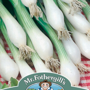 Onion (Spring) White Lisbon Winter Hardy