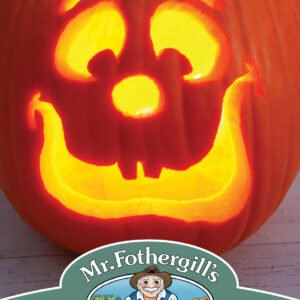Pumpkin Charmant Pmr F1