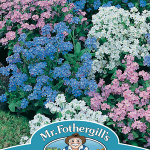 Forget Me Not Mixed