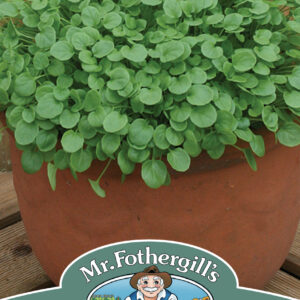 Cress American Land