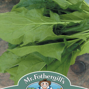 Spinach Mikado F1