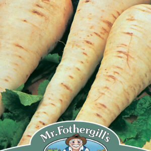 Parsnip Gladiator F1