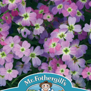 Stock Virginian Spring Sparkle