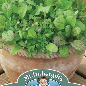 Mixed Mesclun