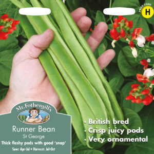 Runner Bean St George