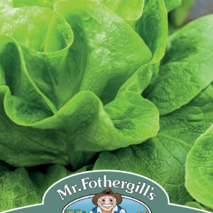 Lettuce Gustav's Salad