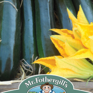 Courgette Best Of British F1