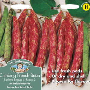 Climbing French Bean Borlotto Lingua Di Fuoco 2