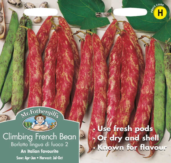 Climbing French Bean Borlotto Lingua Di Fuoco 2
