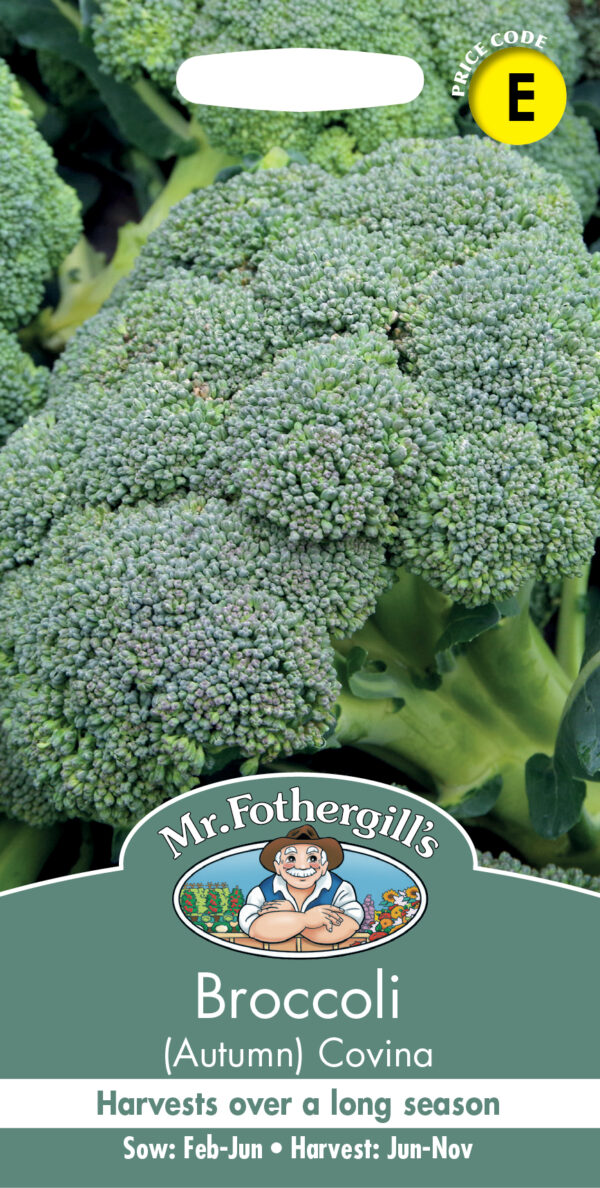 Broccoli (Autumn)  Covina