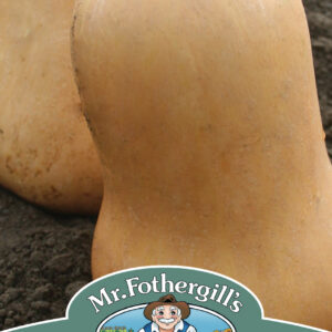 Squash (Butternut) Sweetmax F1