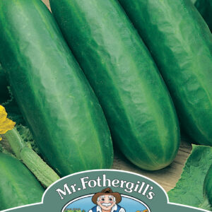 Cucumber Socrates F1