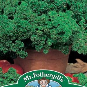 Parsley Afrodite
