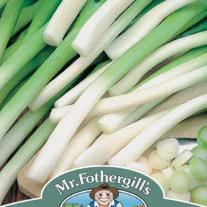Onion (Spring) Ishikura