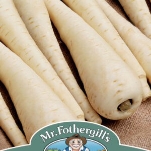 Parsnip Javelin F1