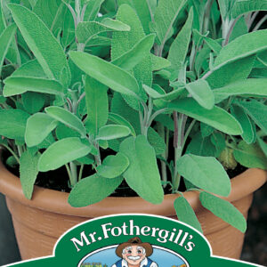 Sage