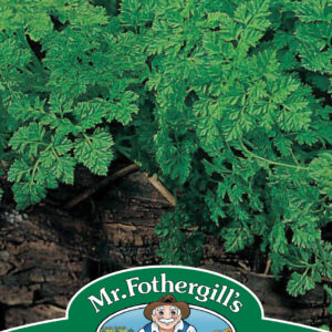 Chervil Simple