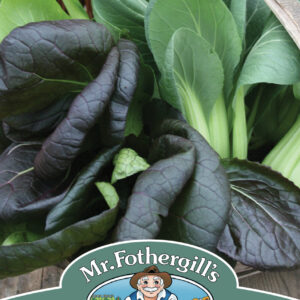 Pak Choi Colour & Crunch F1