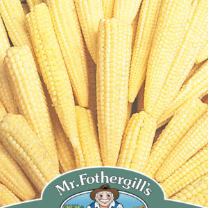 Sweet Corn Minipop F1