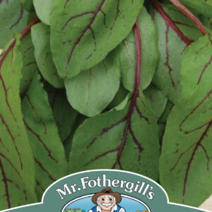Sorrel Red Veined