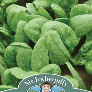 Spinach Cello F1