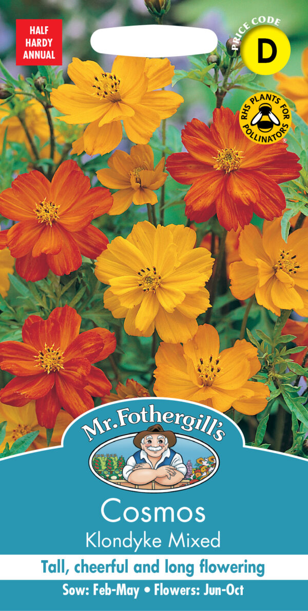 Cosmos Klondyke Mixed