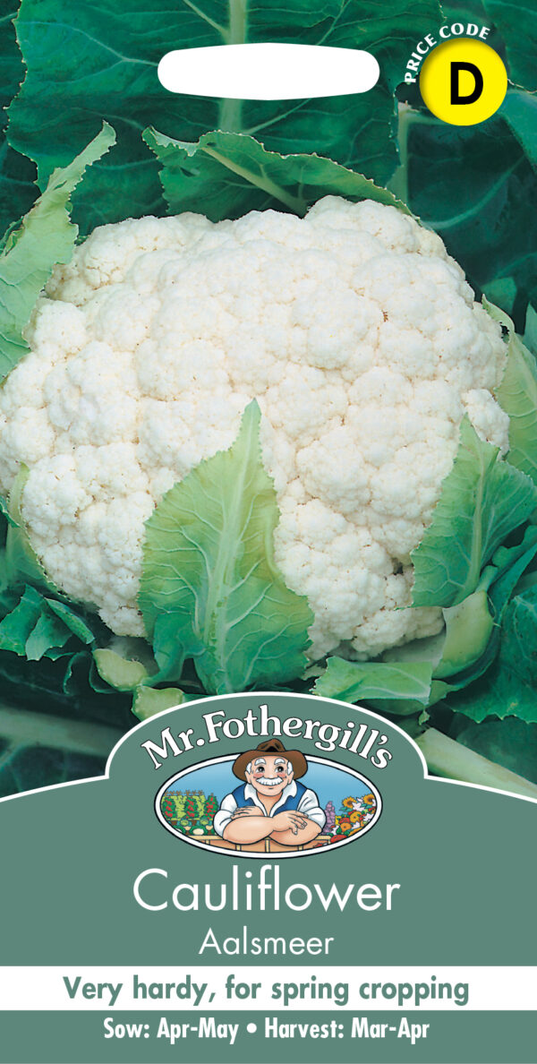 Cauliflower Aalsmeer