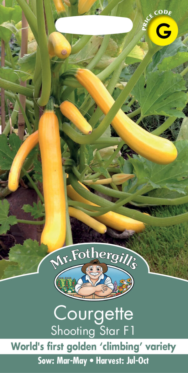 Courgette Shooting Star F1