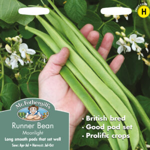 Runner Bean Moonlight