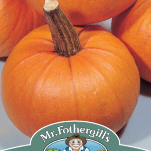 Pumpkin Small Sugar