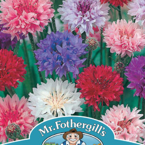 Cornflower Polka Dot