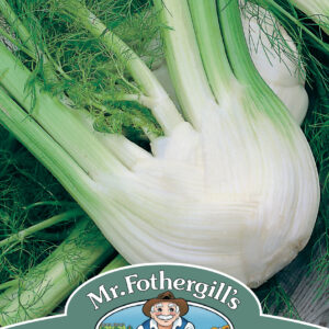Fennel Di Firenze