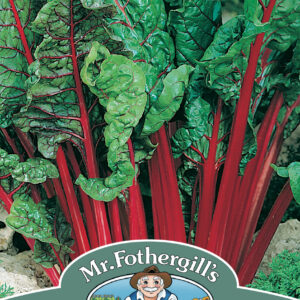 Chard Rhubarb Chard (Vulcan)