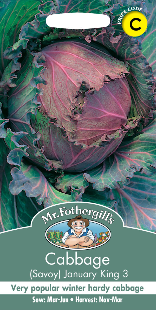 Cabbage (Savoy) January King 3
