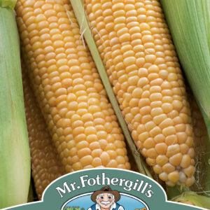 Sweet Corn Rising Sun F1