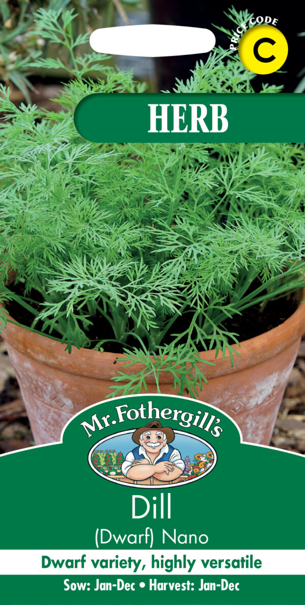 Dill (Dwarf) Nano