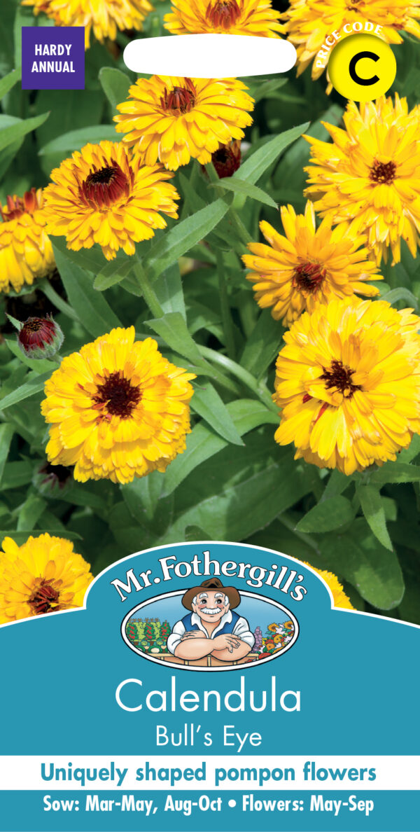Calendula Bull's Eye