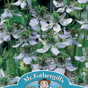 Nigella Black Caraway