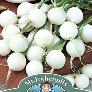 Onion De Paris (Silverskin)