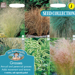 Grasses Collection