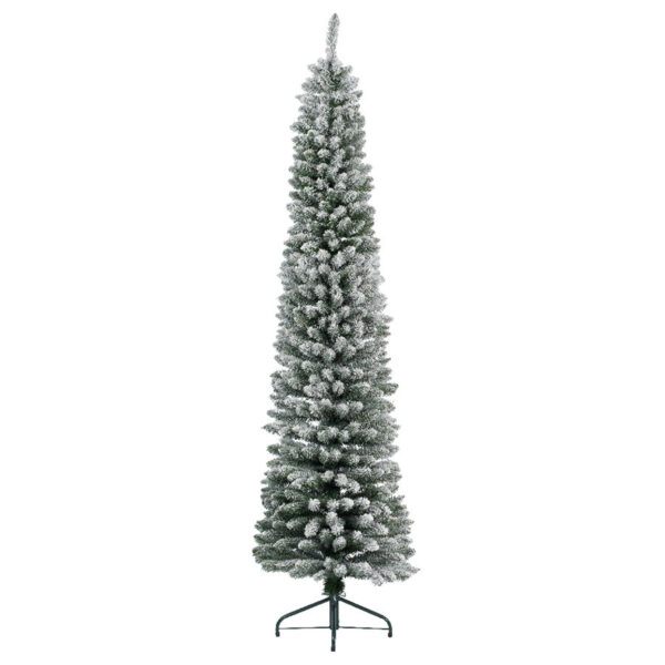 Pencil pine snowy (Height: 180cm)