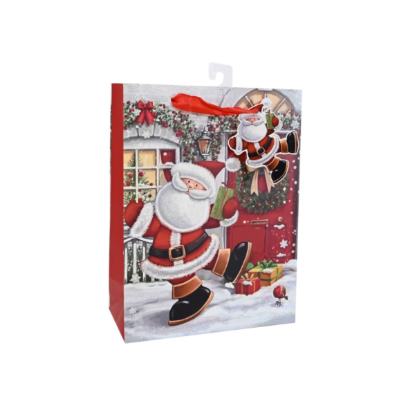 Medium Assorted Gift Bags
